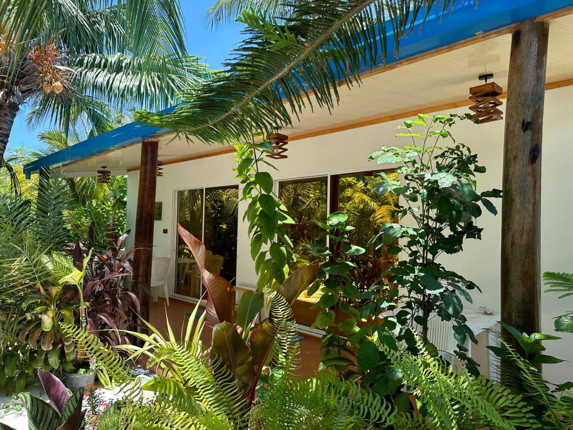 Blue Water Thoddoo Inn Εξωτερικό φωτογραφία