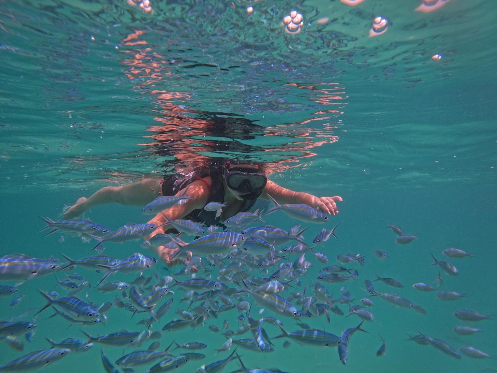 Blue Water Thoddoo Inn Δωμάτιο φωτογραφία