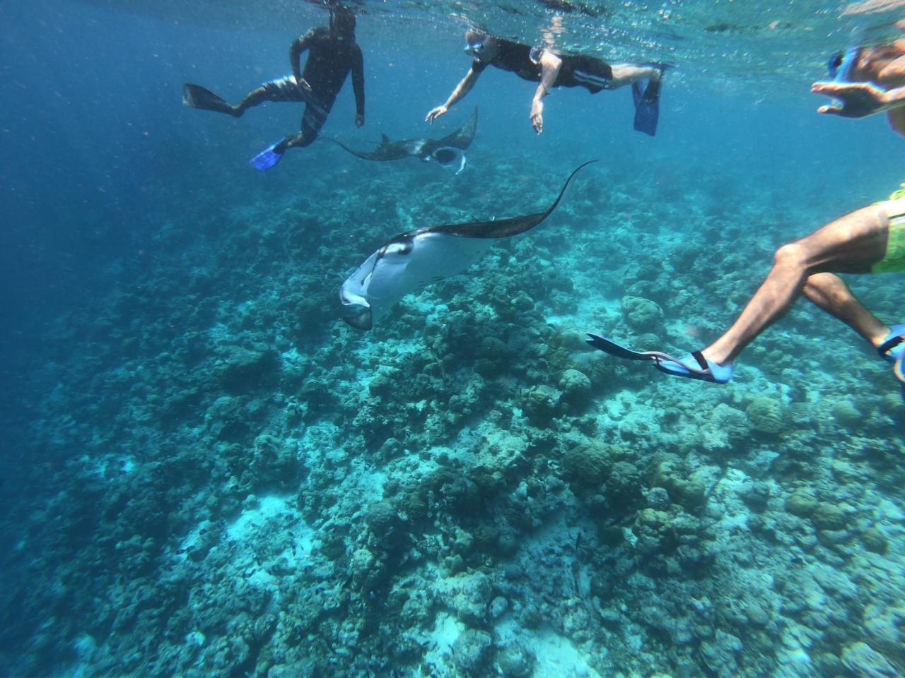Blue Water Thoddoo Inn Εξωτερικό φωτογραφία